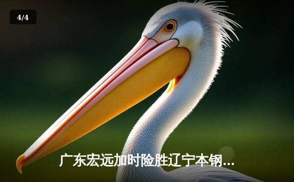 广东宏远加时险胜辽宁本钢 CBA总决赛上演史诗级对决 - 4